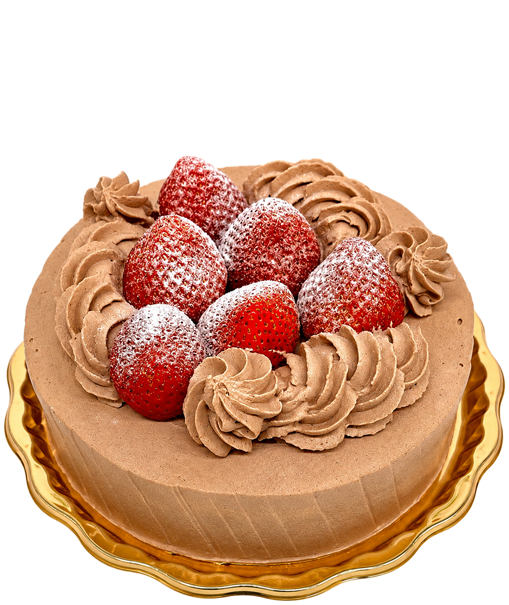 クリスマスケーキ「生チョコクリームデコレーション」